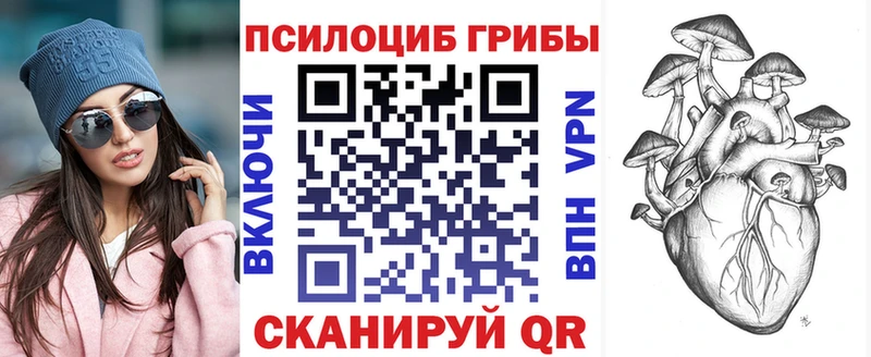как найти   Тосно  Галлюциногенные грибы GOLDEN TEACHER 